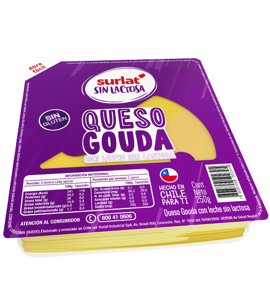 QUESO GAUDA LAMINADO SIN LACTOSA 250 g